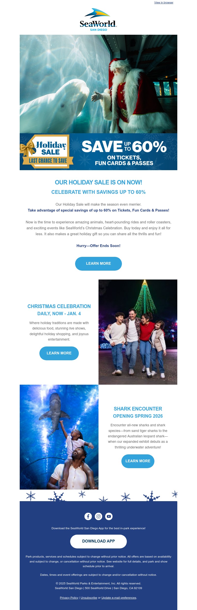 Screenshot of email with subject /media/emails/d70dbe69-d64c-497e-a116-817149df6404.jpg