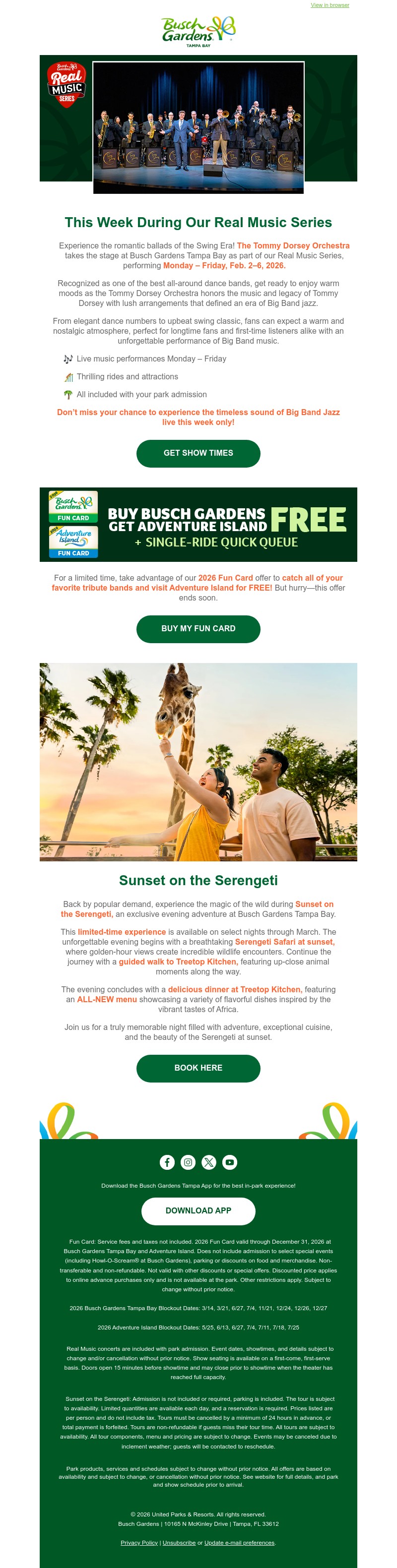 Screenshot of email with subject /media/emails/d73078b9-1870-458b-bbfe-95f3b53b67a5.jpg