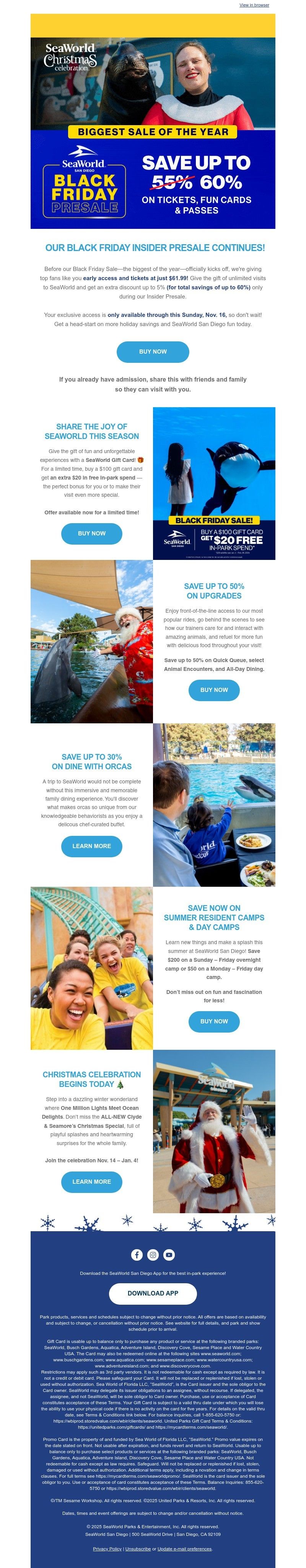 Screenshot of email with subject /media/emails/d780494d-1a8d-41fa-b9fa-063c42f3e9d5.jpg