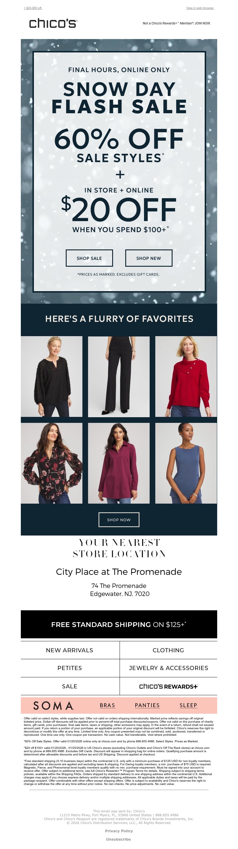 Screenshot of email with subject /media/emails/d79dc0cb-7715-4864-a7e2-75ab5273e803.jpg