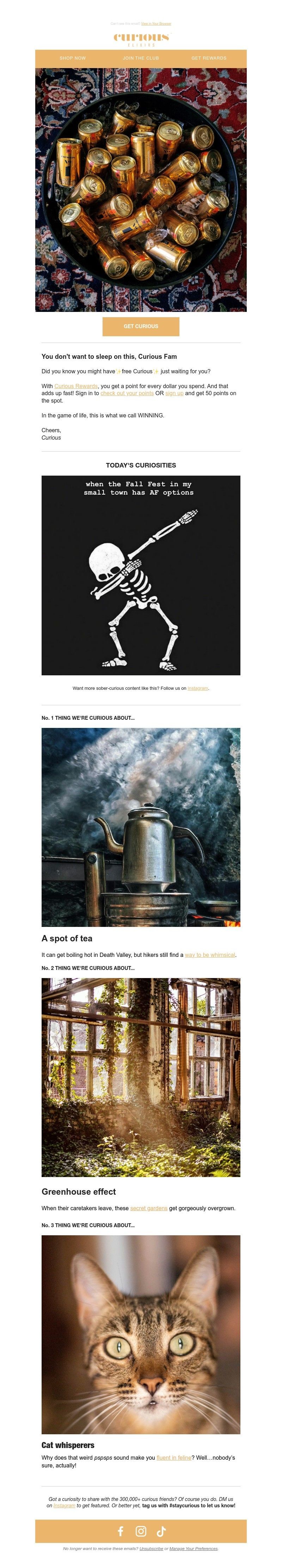 Screenshot of email with subject /media/emails/d7a18bfa-f2b8-43cd-ac8f-fb414dd858b5.jpg