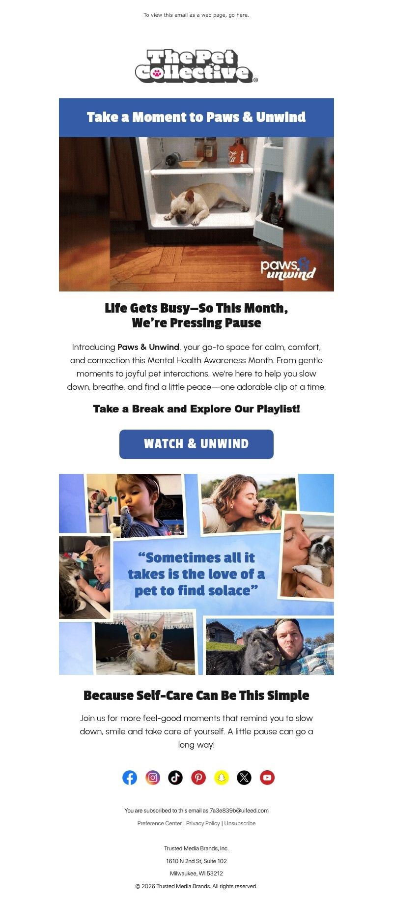 Screenshot of email with subject /media/emails/d878b2b2-6819-4862-8d0c-ab983a155b56.jpg