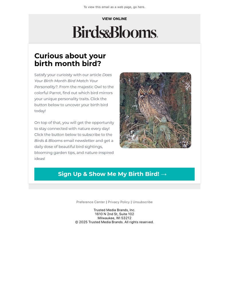 Screenshot of email with subject /media/emails/d8a32451-4321-41c1-8ea8-f2ec3c513d9e.jpg