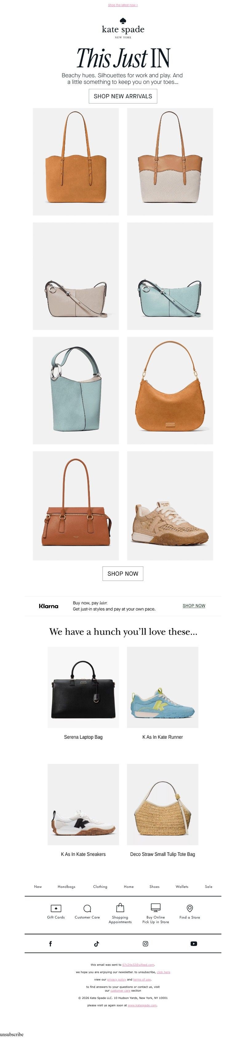 Screenshot of email with subject /media/emails/d964f365-3d08-4b0e-9082-ae3d4fa573c4.jpg