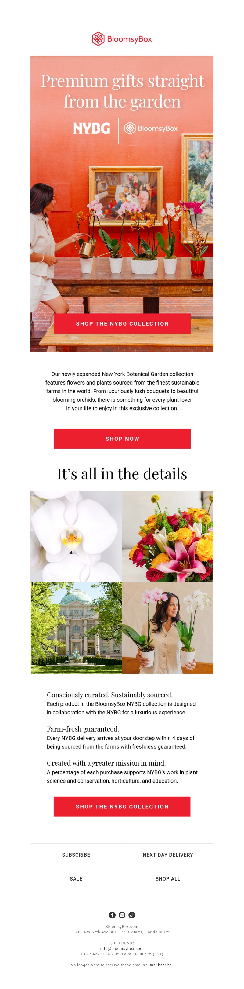 Screenshot of email with subject /media/emails/d9ecf191-e2f0-4657-b5d6-b65d9dc9a99c.jpg