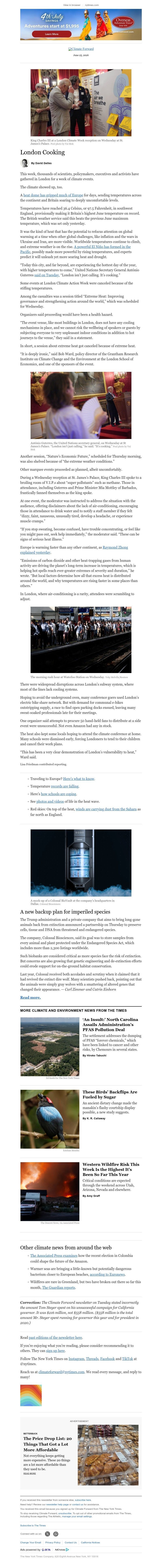 Screenshot of email with subject /media/emails/d9ef10af-0b70-4496-ac5c-5f4e9a60f979.jpg