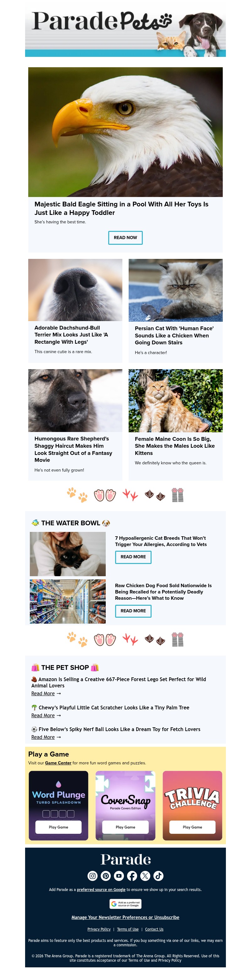 Screenshot of email with subject /media/emails/d9ef5029-56dd-44bd-b916-514459389b84.jpg