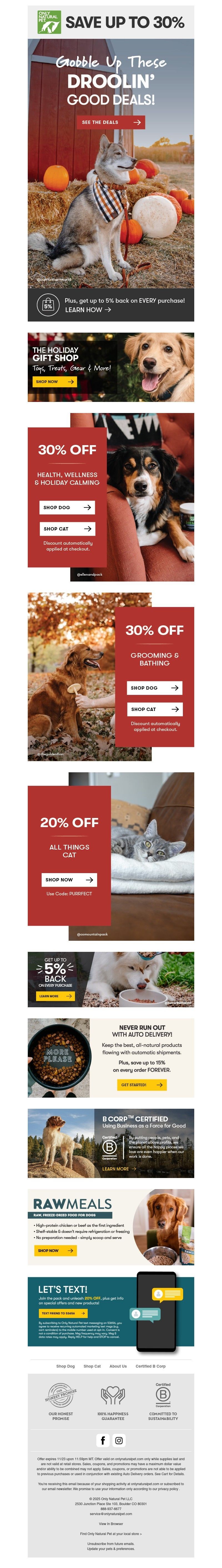 Screenshot of email with subject /media/emails/daccfda8-46fb-42e4-9e96-c48687ff96f1.jpg