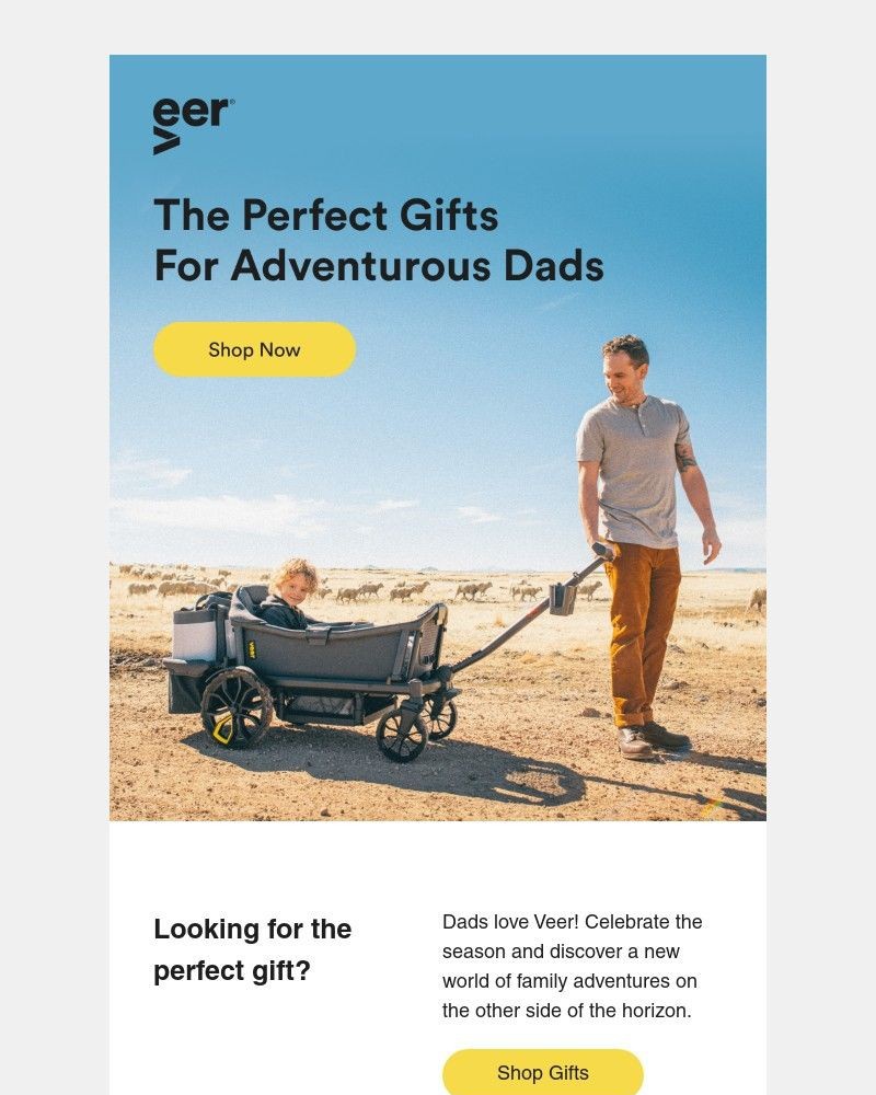 Screenshot of email sent to a Veer Newsletter subscriber