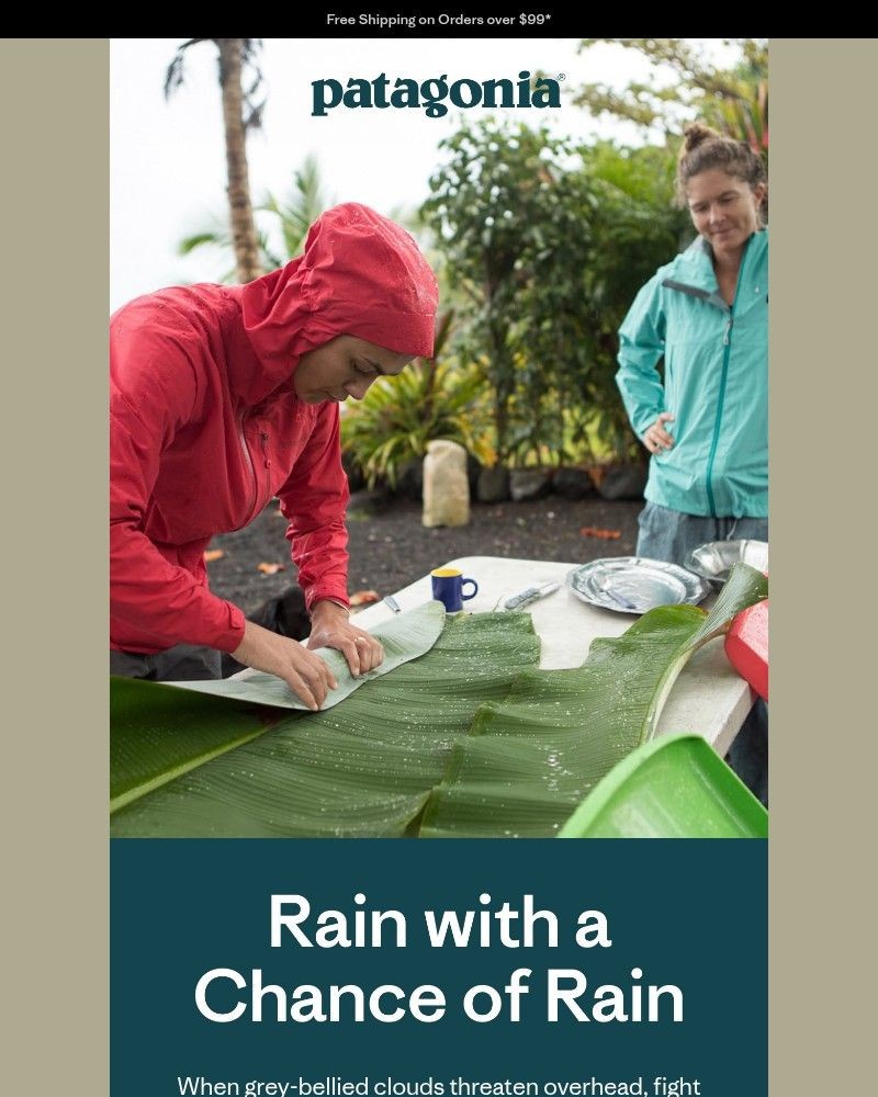 Screenshot of email with subject /media/emails/daily-rainwear-to-keep-you-happily-dry-9b13e3-cropped-b8298b83.jpg