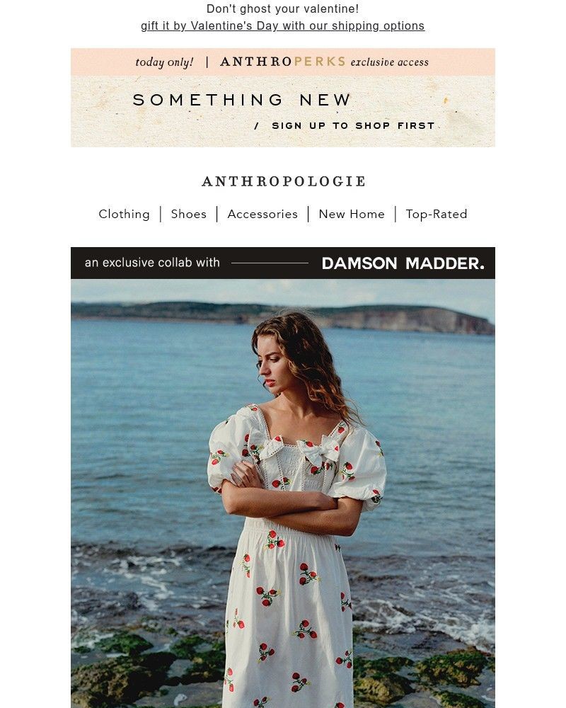 Screenshot of email with subject /media/emails/damson-madder-x-anthro-just-hit-your-inbox-607c64-cropped-e2b5017c.jpg