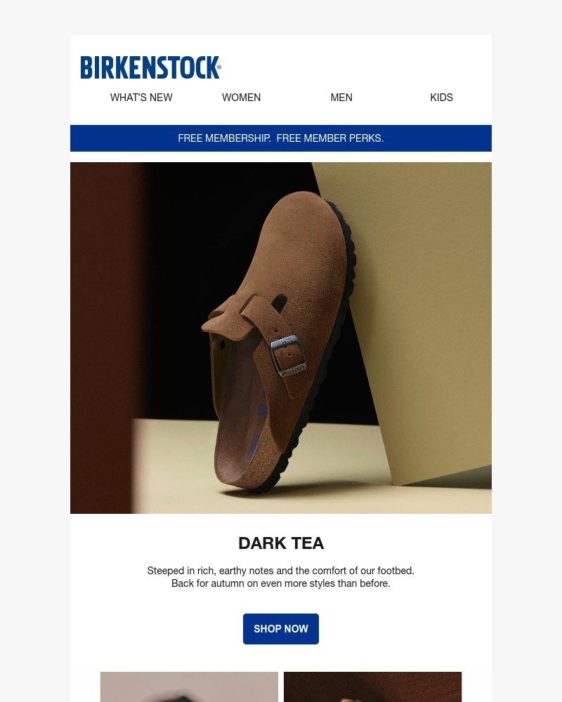 Screenshot of email with subject /media/emails/dark-tea-is-back-a57e9f-cropped-58678a76.jpg