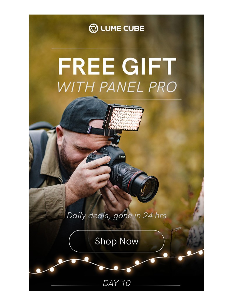 Screenshot of email with subject /media/emails/day-10-free-accessory-pack-with-panel-pro-2f2e34-cropped-3420af15.jpg