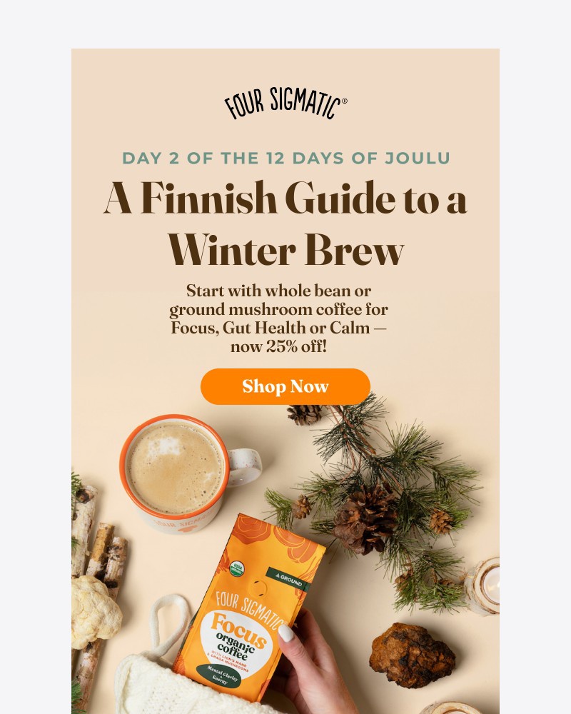 Screenshot of email with subject /media/emails/day-2-of-joulu-a-ritual-worth-waking-up-for-b0f74c-cropped-b61bc758.jpg