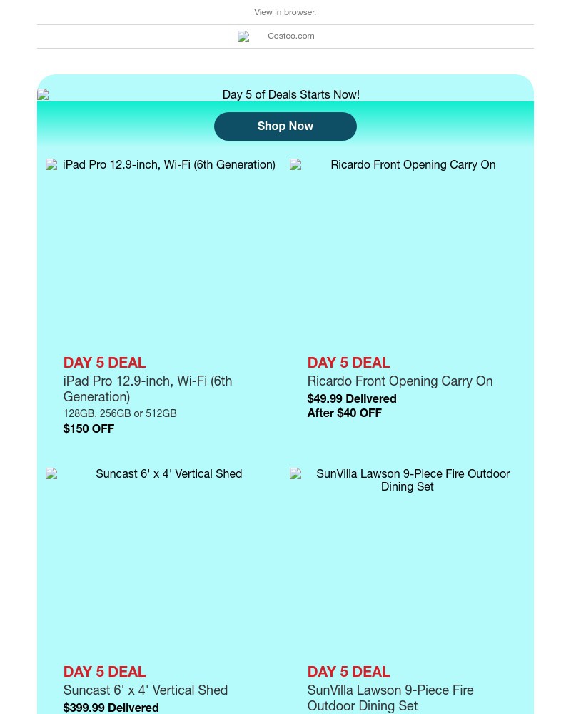 Screenshot of email with subject /media/emails/day-5-of-spring-savings-days-a3ac70-cropped-b45e7f57.jpg