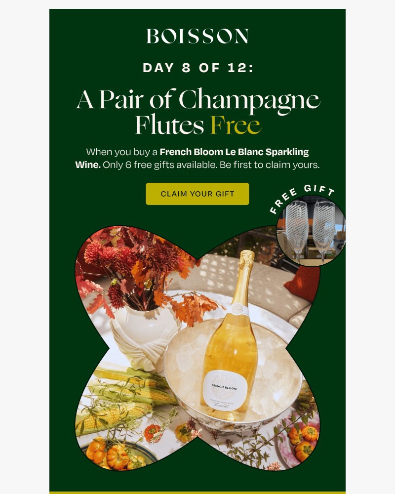 Screenshot of email with subject /media/emails/day-8-of-12-french-bloom-champagne-flutes-45c581-cropped-91194ec4.jpg
