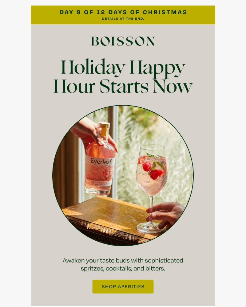 Screenshot of email with subject /media/emails/day-9-sophisticated-sips-todays-gift-9832a2-cropped-8e6fb191.jpg