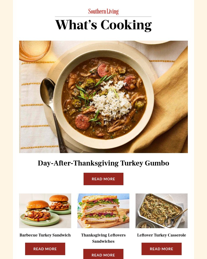Screenshot of email with subject /media/emails/day-after-thanksgiving-turkey-gumbo-2a1428-cropped-1d4edbe6.jpg