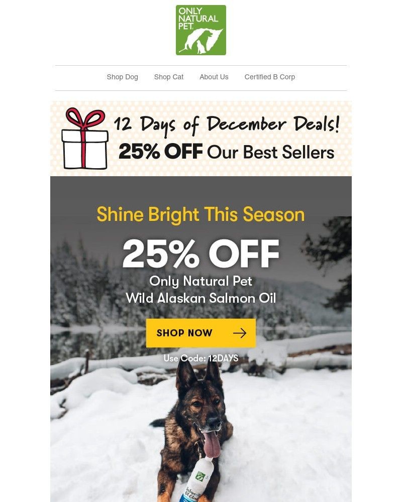 Screenshot of email sent to a Only Natural Pet Newsletter subscriber