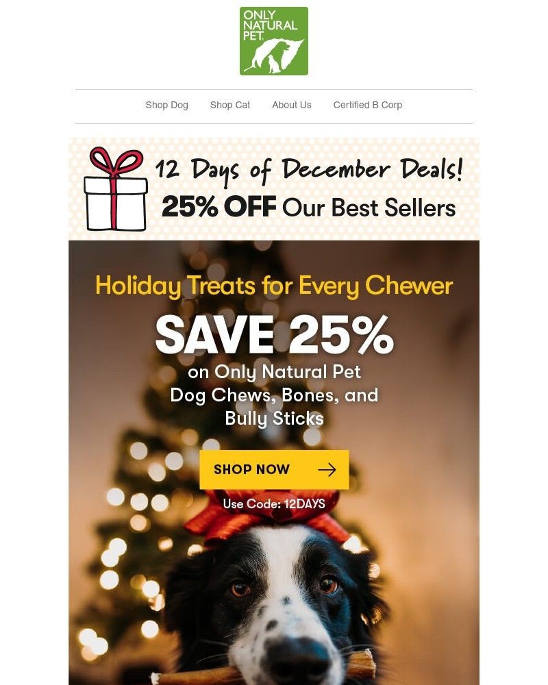 Screenshot of email with subject /media/emails/day-eleven-25-off-better-dog-chews-12-days-of-december-event-b5d696-cropped-9fb2468c.jpg