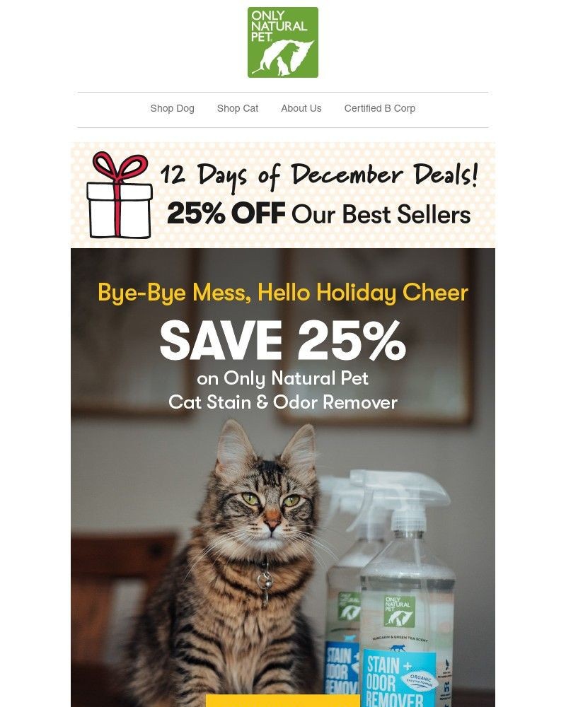 Screenshot of email with subject /media/emails/day-five-25-off-solutions-for-holiday-messes-12-days-of-december-event-2588d9-cro_iwwYrB1.jpg