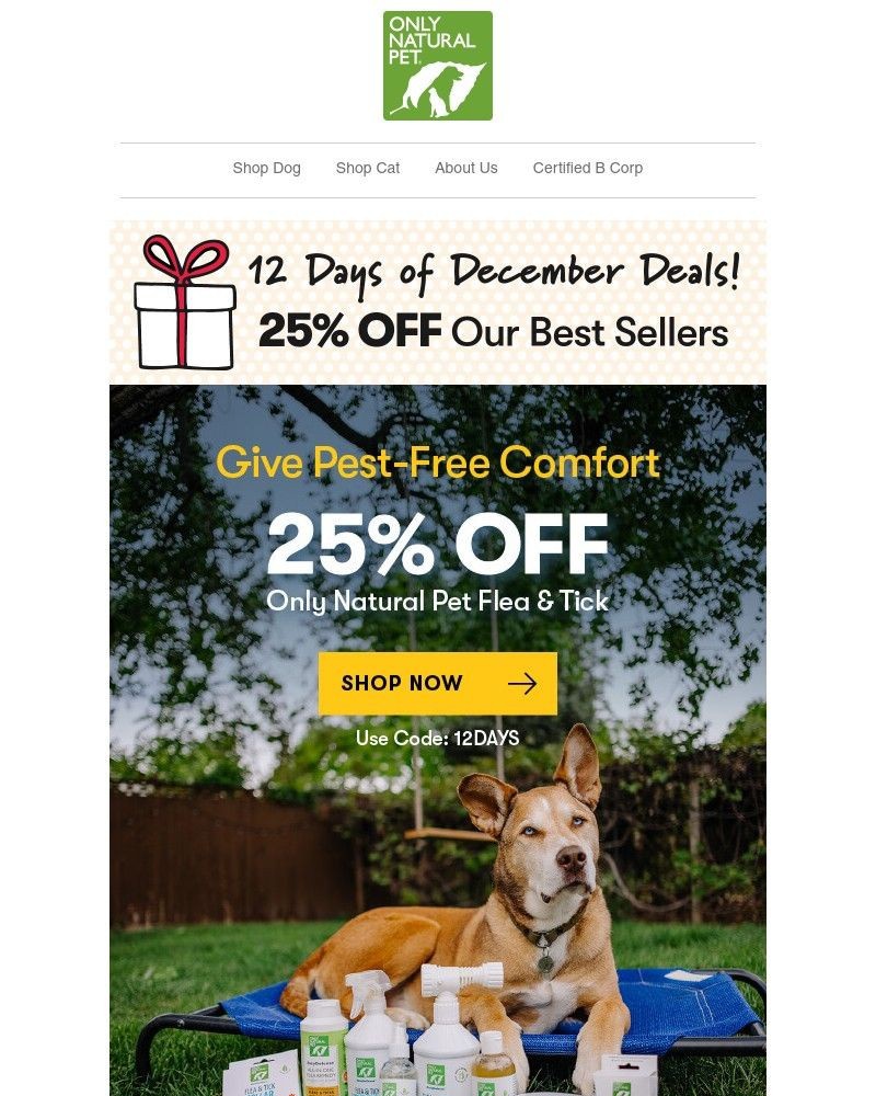 Screenshot of email with subject /media/emails/day-four-25-off-pest-prevention-essentials-12-days-of-december-event-816651-cropp_f5I3Pst.jpg