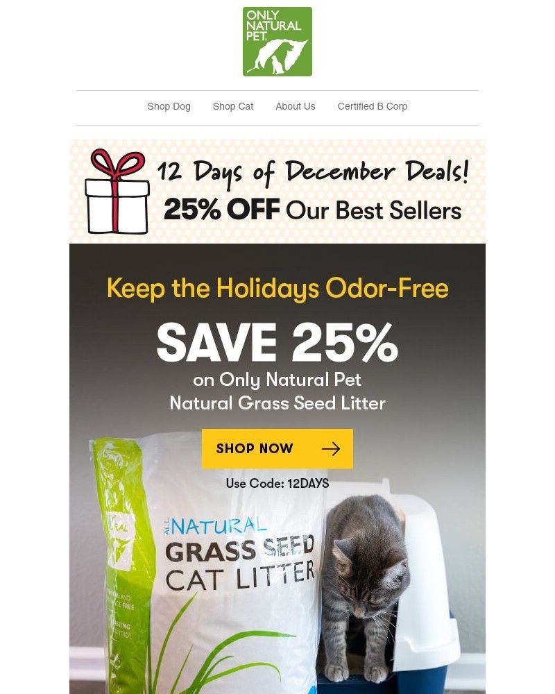 Screenshot of email with subject /media/emails/day-one-25-off-fresher-spaces-for-your-cat-12-days-of-december-event-767310-cropp_igF3HPn.jpg