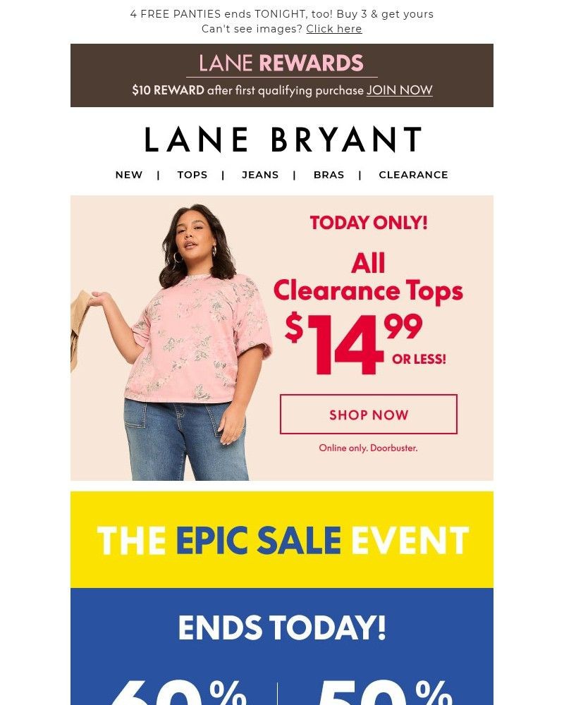Screenshot of email sent to a Lane Bryant Newsletter subscriber