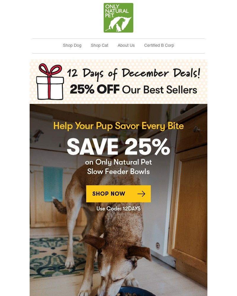 Screenshot of email with subject /media/emails/day-seven-25-off-slow-feeder-bowls-for-healthier-mealtimes-12-days-of-december-ev_1QlUrz5.jpg
