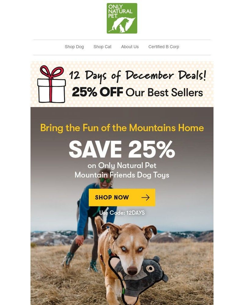 Screenshot of email with subject /media/emails/day-six-25-off-toys-built-for-holiday-fun-12-days-of-december-event-5fbe5b-croppe_GwQsDb0.jpg