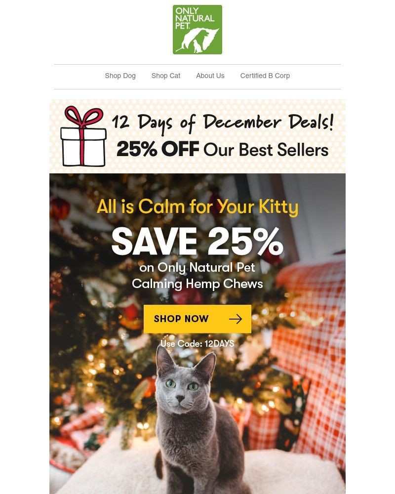 Screenshot of email with subject /media/emails/day-ten-25-off-calm-vibes-for-your-cat-12-days-of-december-event-aaa2be-cropped-9cede993.jpg