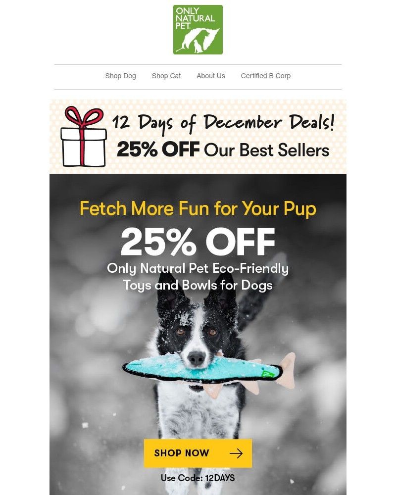 Screenshot of email with subject /media/emails/day-three-25-off-new-toys-to-unwrap-12-days-of-december-event-d4f44e-cropped-90a54bdc.jpg