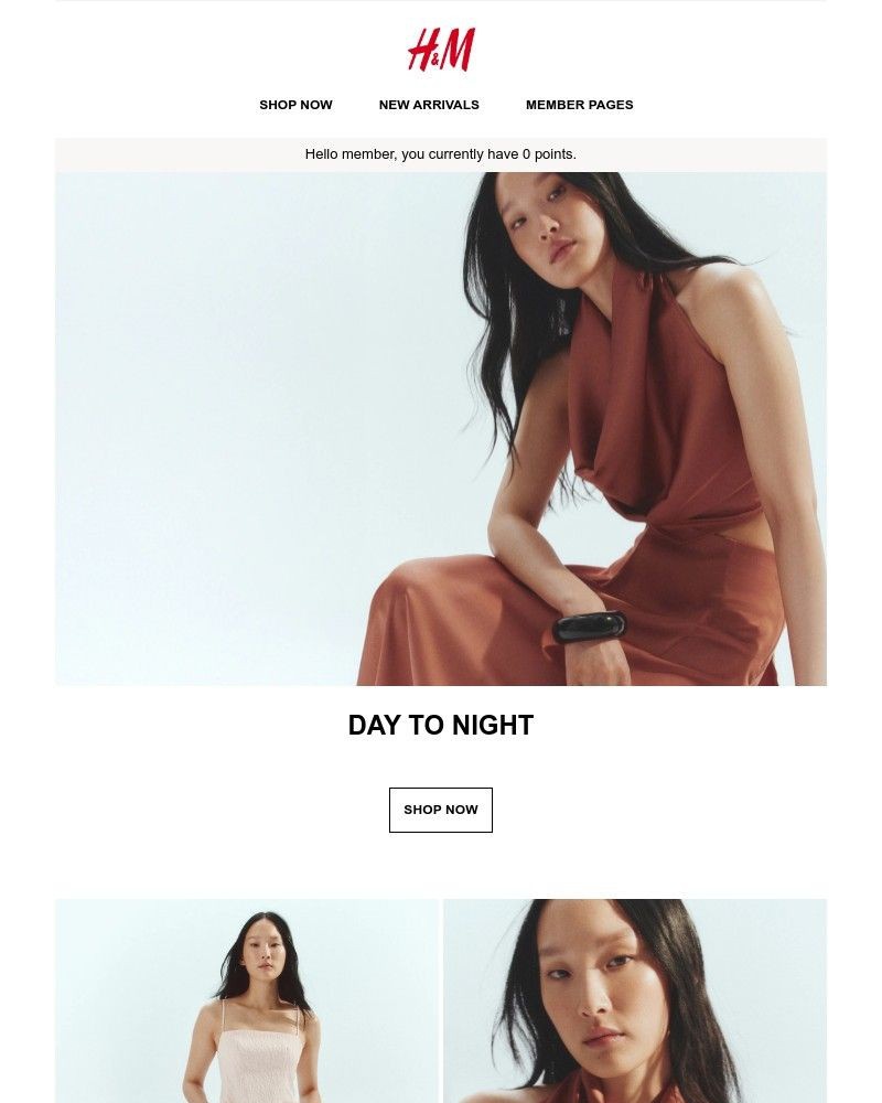 Screenshot of email with subject /media/emails/day-to-night-2fd91b-cropped-d34ad223.jpg