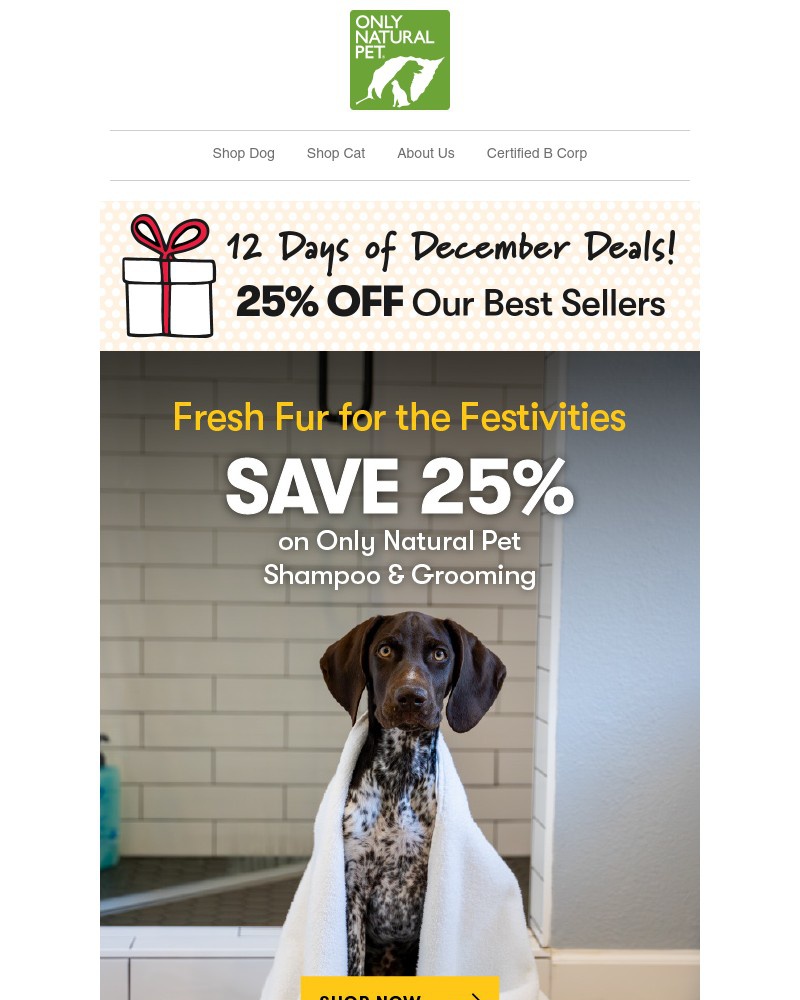 Screenshot of email with subject /media/emails/day-twelve-25-off-cleaner-cuddlier-pets-this-holiday-12-days-of-december-event-ae_UXIDhyL.jpg