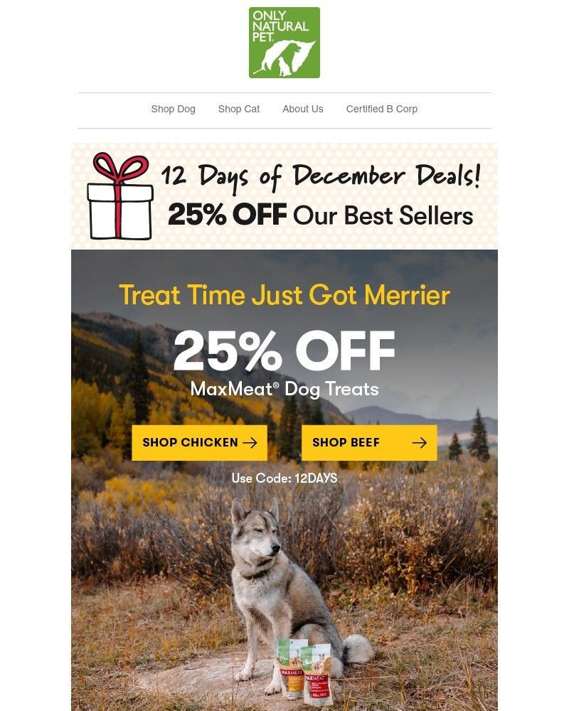 Screenshot of email with subject /media/emails/day-two-25-off-healthy-holiday-treats-12-days-of-december-event-8e4da6-cropped-aadf1ea6.jpg