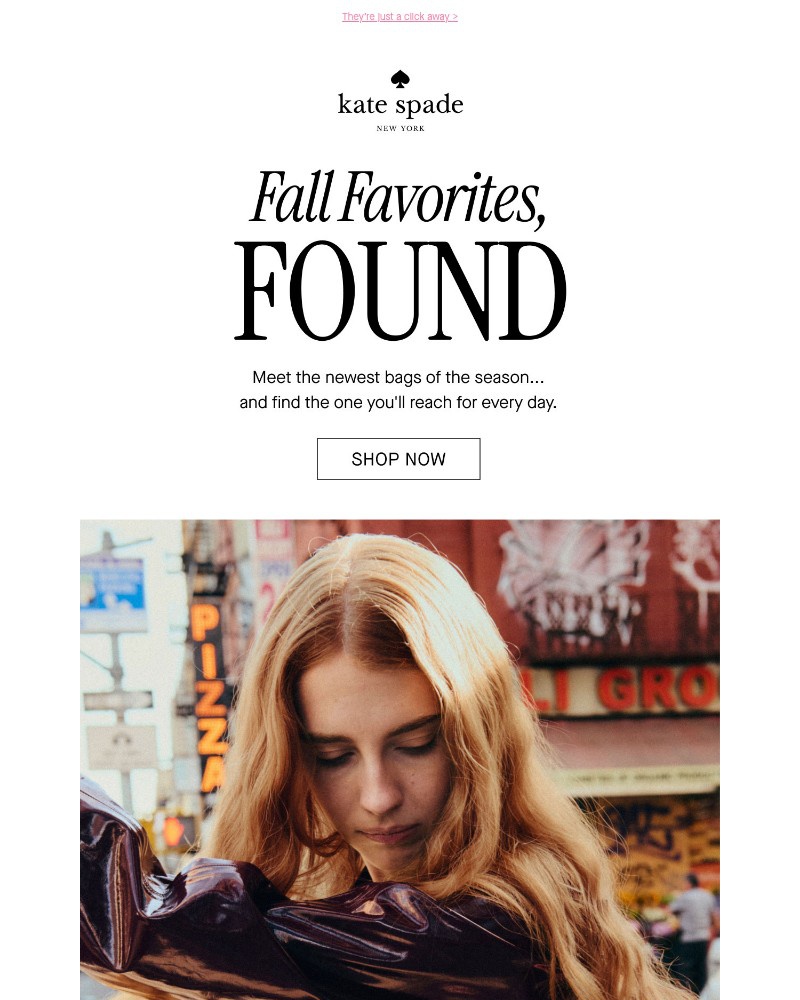 Screenshot of email with subject /media/emails/daydreaming-about-fall-bags-472d78-cropped-170dbf08.jpg