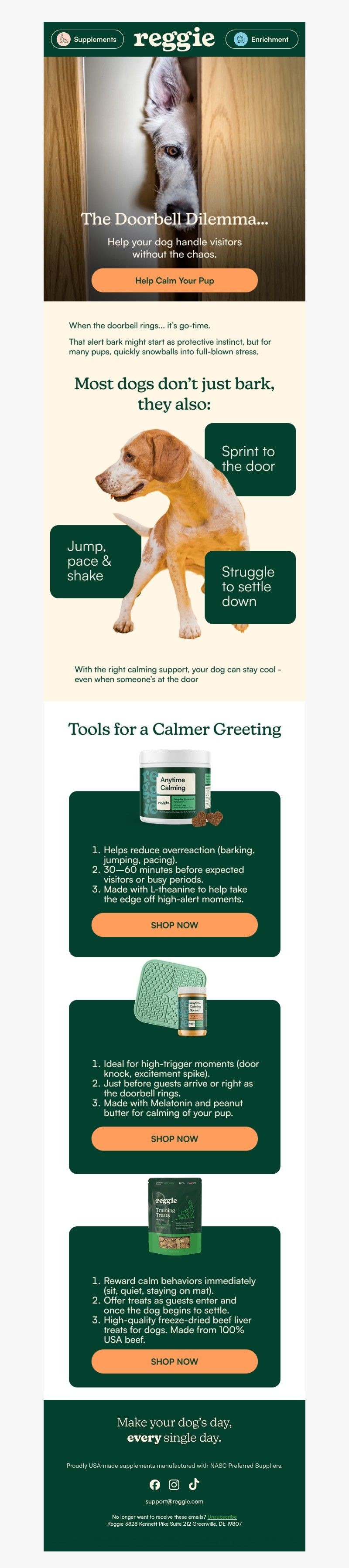 Screenshot of email with subject /media/emails/db29740e-5408-4088-abb5-273a57c01c8f.jpg