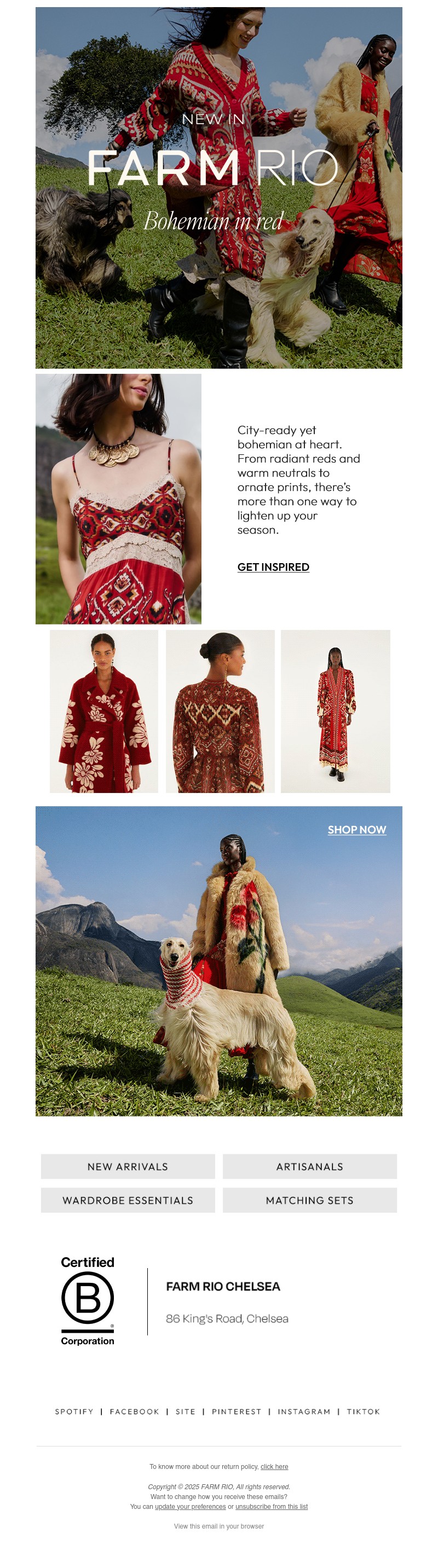 Screenshot of email with subject /media/emails/dc315b79-f800-416c-abeb-d37230195d63.jpg