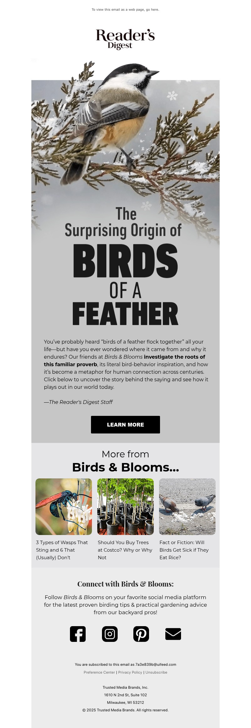 Screenshot of email with subject /media/emails/dc4dbe1c-d2b0-4b49-a914-d46bc20846d8.jpg