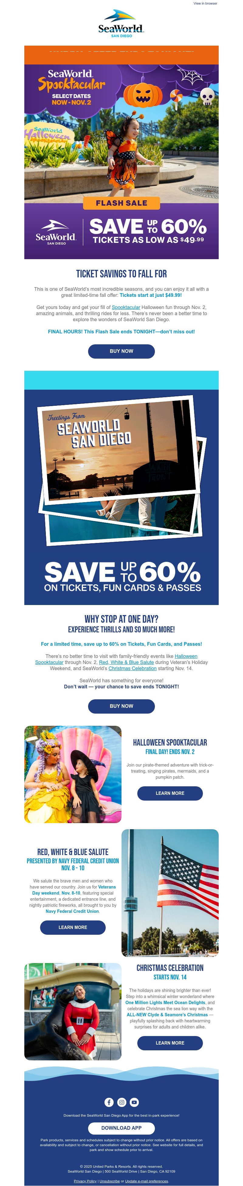 Screenshot of email with subject /media/emails/dc7b4051-81a9-446c-89e4-8571c0dd479f.jpg