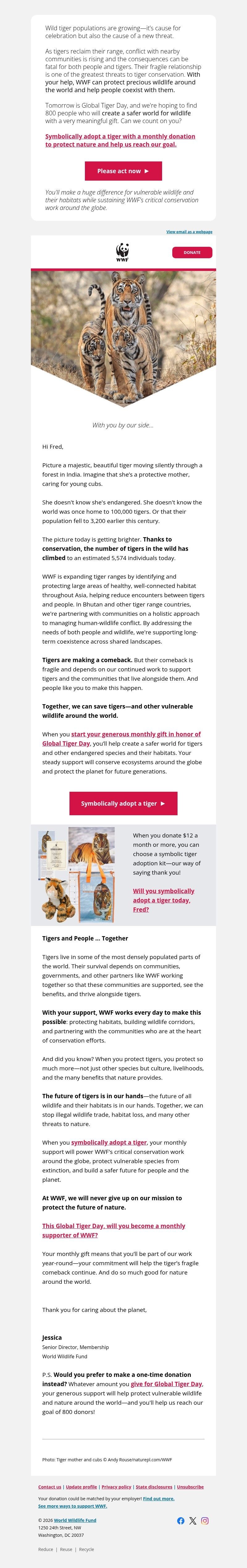 Screenshot of email with subject /media/emails/dd7231df-4338-477b-9253-0ac41136d54b.jpg