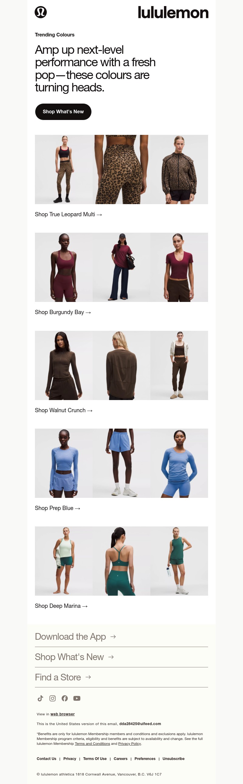 Screenshot of email with subject /media/emails/dddba554-420b-4e79-9416-b8ac63de809c.jpg