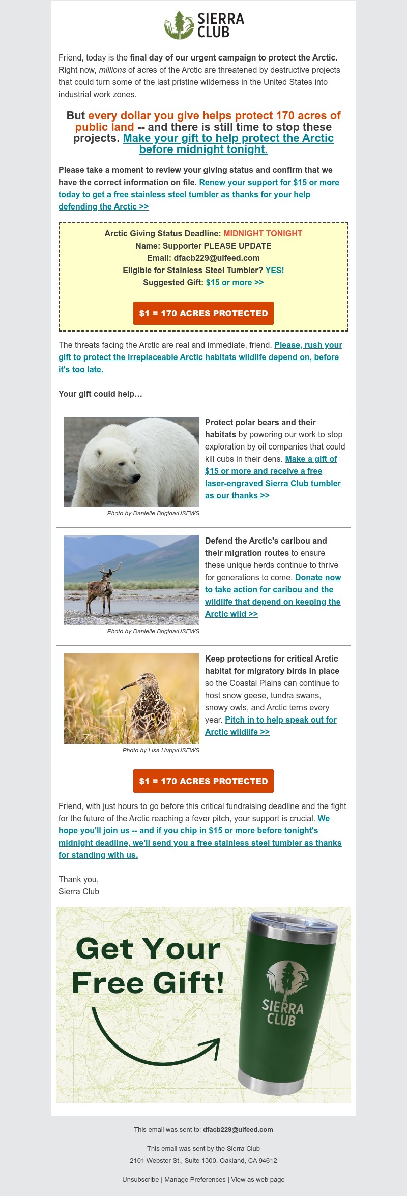 Screenshot of email with subject /media/emails/dde7ede5-103a-4b22-9da9-8de651bafee1.jpg