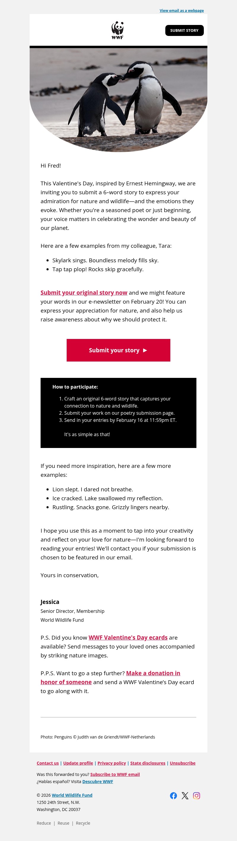 Screenshot of email with subject /media/emails/de349b77-caf3-4655-a37e-4b93bec003b2.jpg