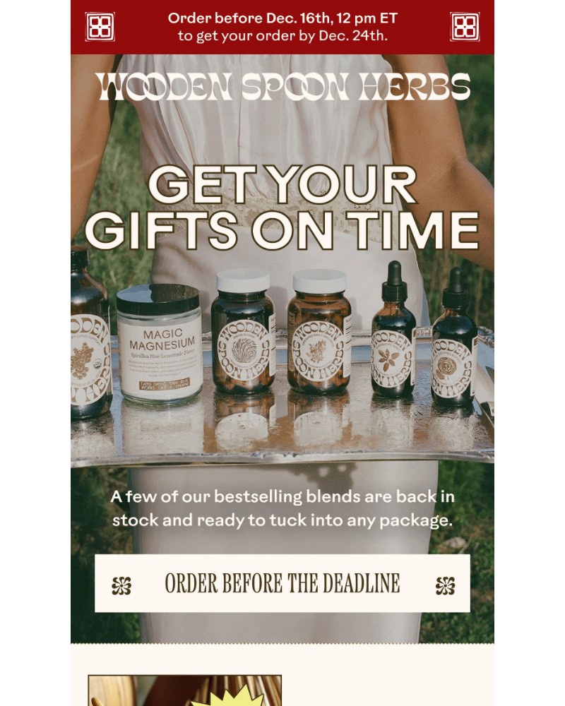 Screenshot of email sent to a Wooden Spoon Herbs Newsletter subscriber