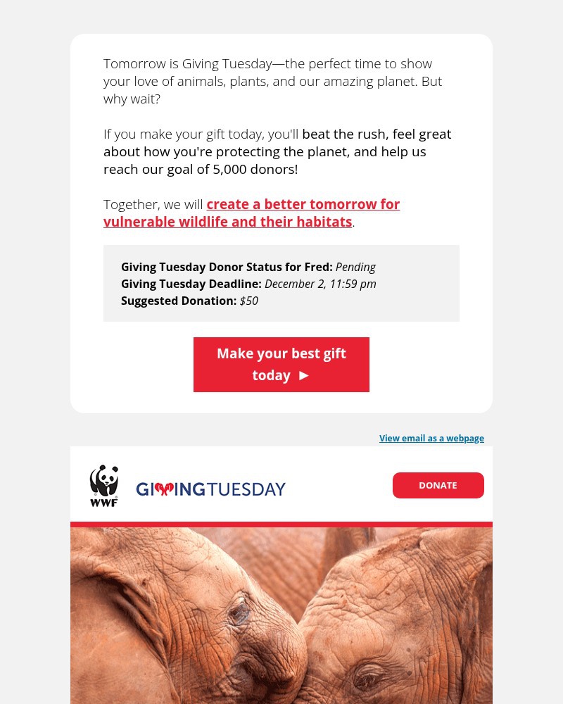 Screenshot of email with subject /media/emails/deadline-approaching-4c39e8-cropped-aacddf23.jpg