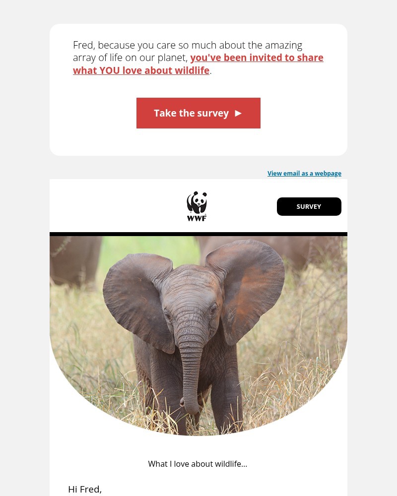 Screenshot of email with subject /media/emails/deadline-saturday-we-havent-heard-from-fred-yet-a3a602-cropped-9b61a81b.jpg