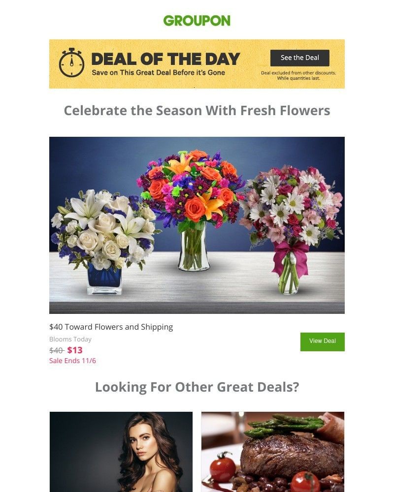 Screenshot of email with subject /media/emails/deal-of-the-day-is-in-full-bloom-83bb6f-cropped-81d79361.jpg