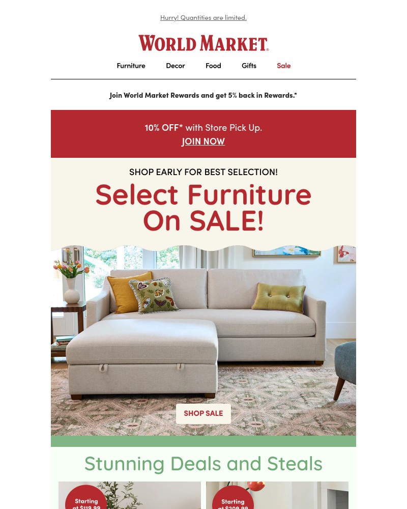 Screenshot of email sent to a World Market Cart abandoner