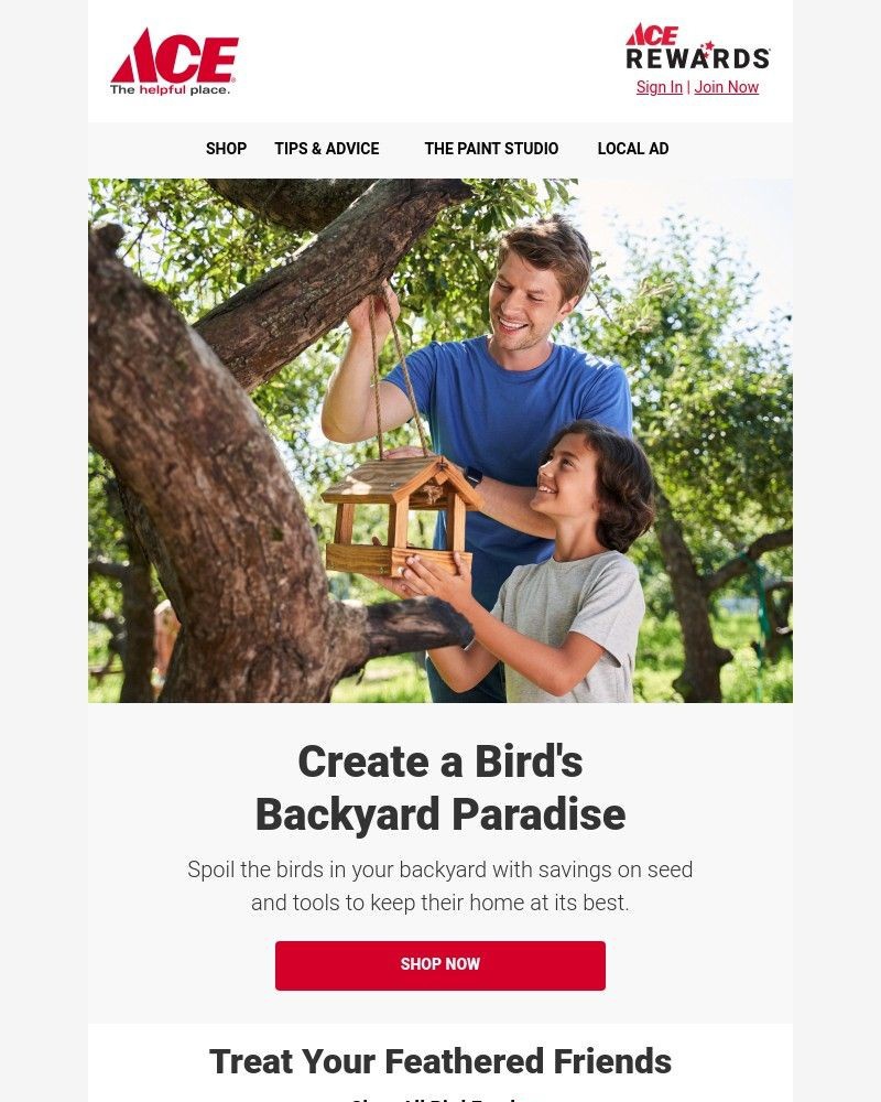 Screenshot of email with subject /media/emails/deals-tips-to-welcome-birds-to-your-yard-7994ab-cropped-34ab47ee.jpg